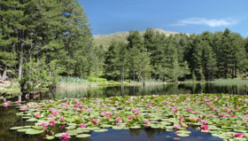 Parco naturale regionale della Corsica